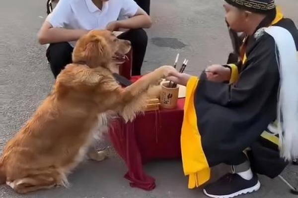 探索年轻女孩的命运：算命与自我发现之旅