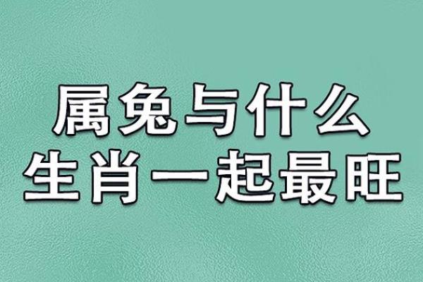 2024年属兔者命理解析：运势、性格与适合职业详解