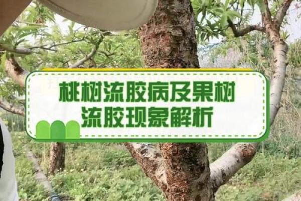 手关节长毛现象解析：神秘命理大揭秘