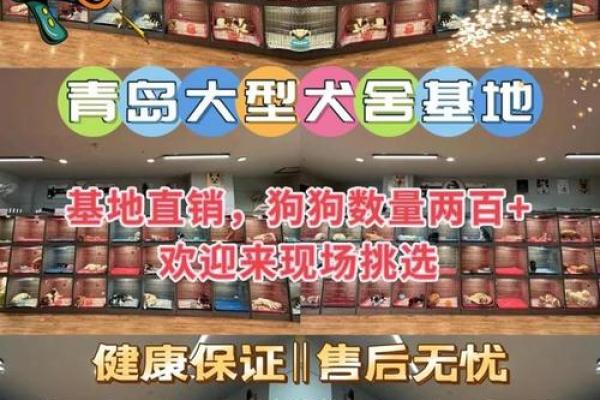 白蜡金命如何挑选及养护宠物动物的指南