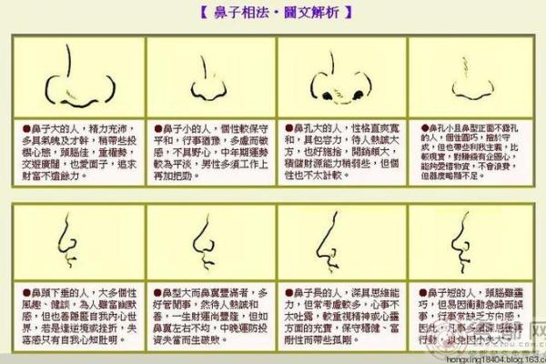 属牛年出生的人命理解析：一生的运势与性格剖析