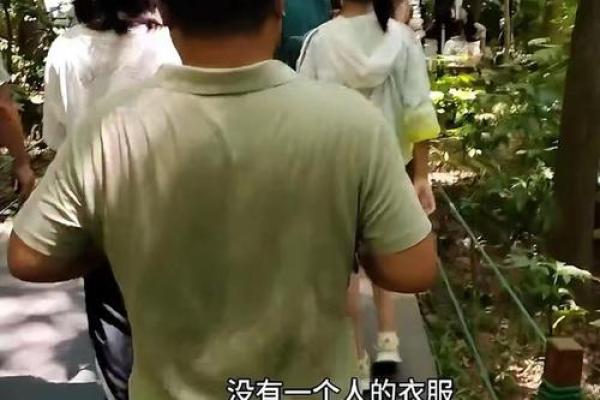 揭秘迷信续命方法：谁能抵挡岁月的无情？