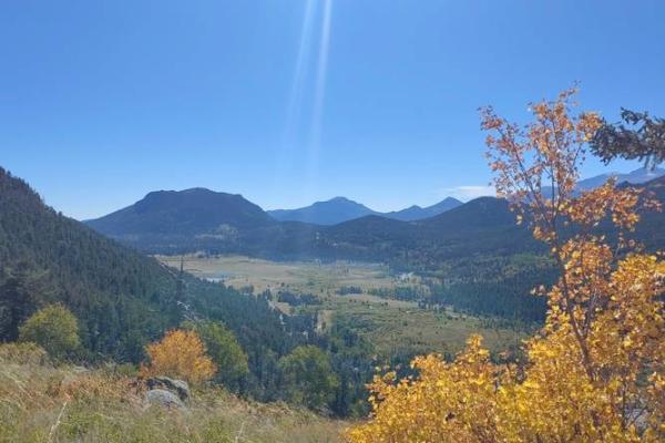 清远鸡:命短寓意深,透视生命的珍贵与哲理 清远鸡:命短寓意深,透视生命的珍贵与哲理