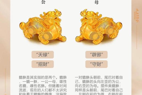 适合摆放貔貅的人群解析:如何招财纳福,提升运势! 适合摆放貔貅的人群解析:如何招财纳福,提升运势!