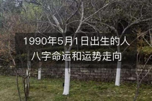 1990年出生的你，命运与运势的深度解析!