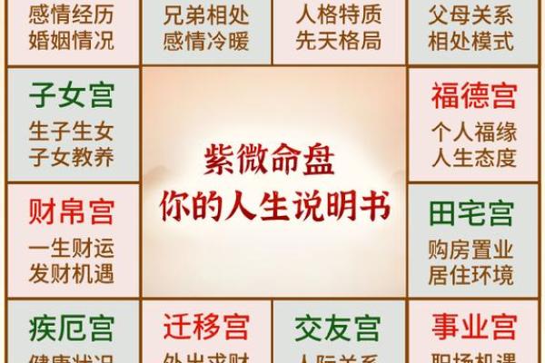 2017年农历出生的人命运解析：在八字中寻找你的独特人生轨迹