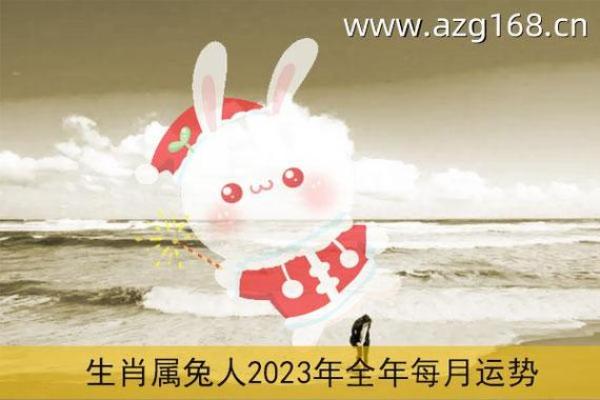 2023年后属兔人的命运及运势分析，解码未来的幸福生活