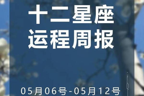 11月26日：掌握你的运势，揭开命运的神秘面纱！