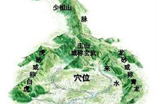 风水木命人的理想坐向及居住环境指南