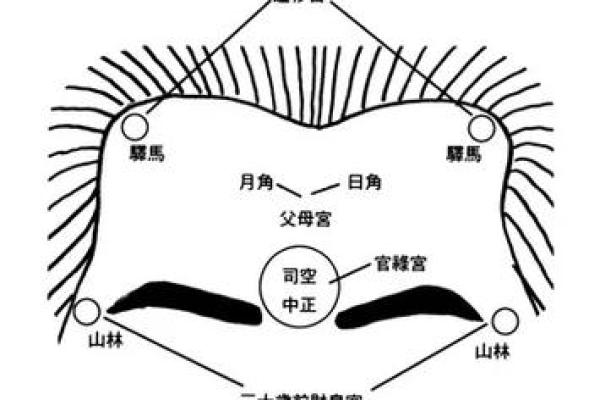 1997年牛女的命运特征与人生解析