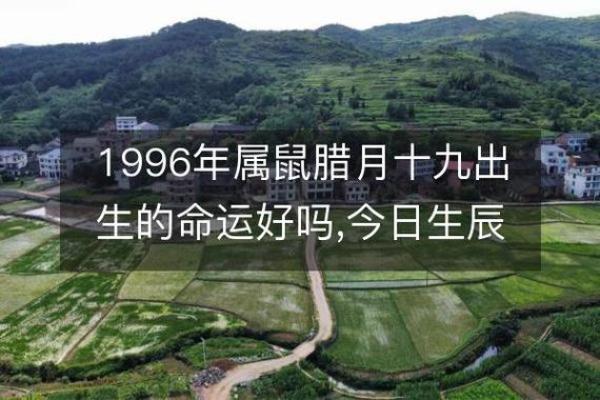 1994年腊月出生者命运解析——探索人生的智慧与灵性之旅