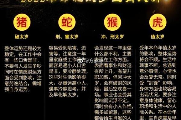 探讨壬寅年太岁属什么命，揭示命理中的深刻奥秘与智慧