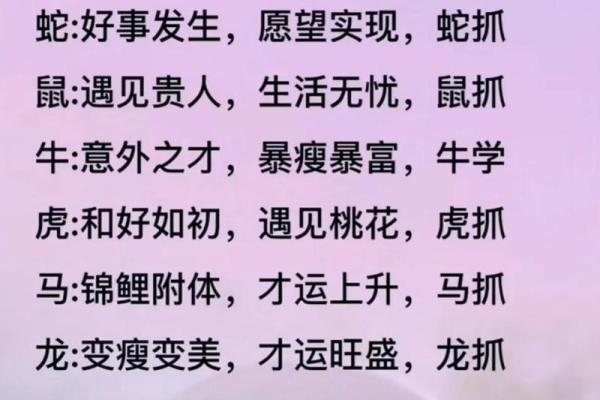 探寻梁上老鼠的金命之谜——从命理看人生智慧