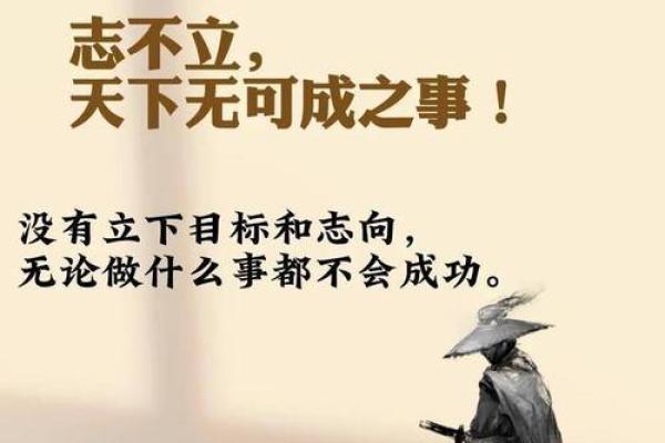 探寻梁上老鼠的金命之谜——从命理看人生智慧