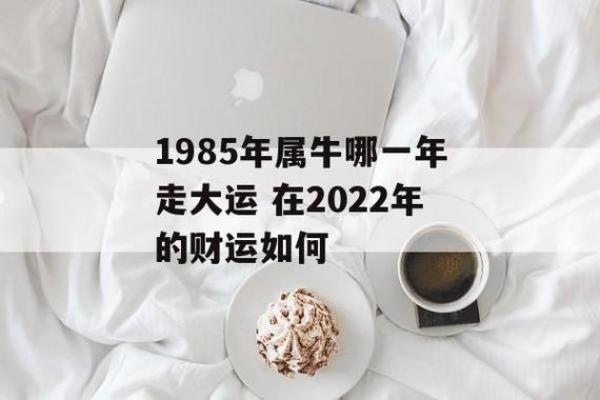 1985年出生的人命运与性格解析：属牛的特质与人生经历