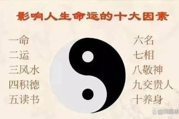 尖峰金命的人如何运用优势发掘人生潜力