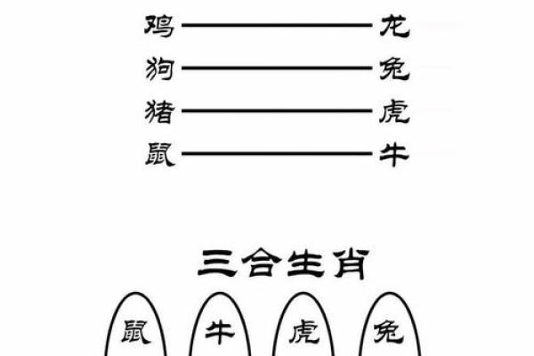 1982年属狗人的命理解析：解密你的性格与运势