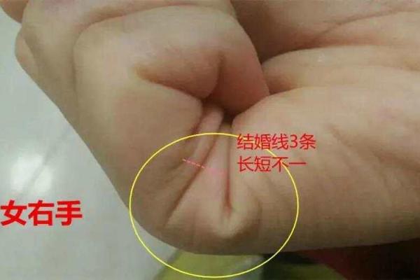 探秘女人短粗胖大手的命运：揭示手相与性格的奥秘