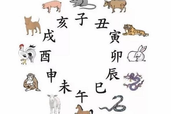 属猪人的2023年运势解析，开启新的人生篇章！