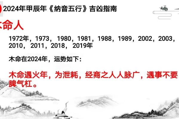 2024年老鼠命运解析：如何在新的一年里抓住机遇与挑战