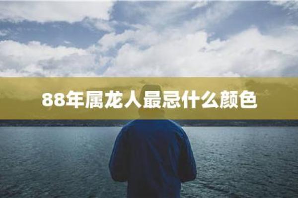 2004年属龙人士的命运解析：揭示天赋与运势的奥秘