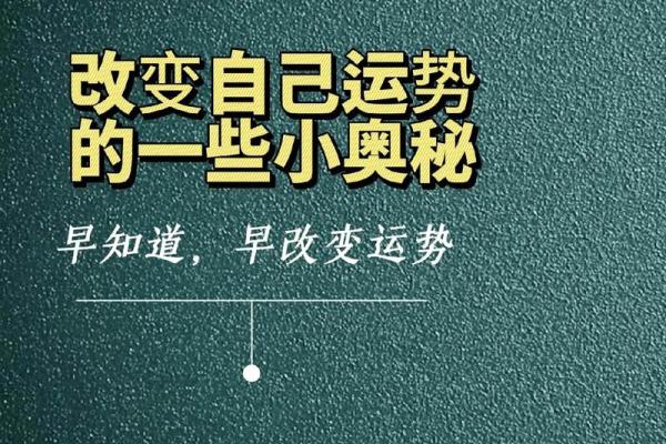 2004年属龙人士的命运解析：揭示天赋与运势的奥秘