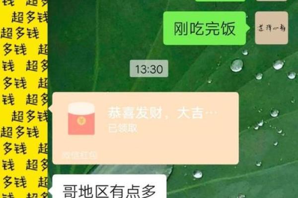 算命高贵命：揭示命理中的卓越人生之路