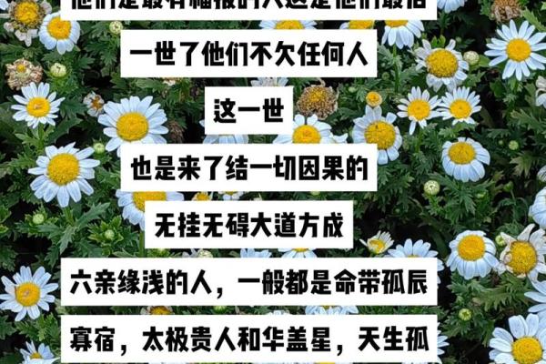 算命高贵命：揭示命理中的卓越人生之路