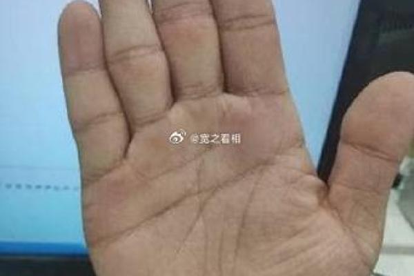 夫子眼右手的女人：命运与象征的深刻解读