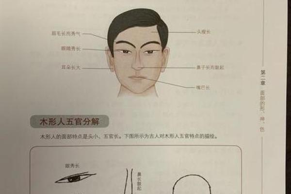 女变男命：解读女性化为男性的命理特征与影响