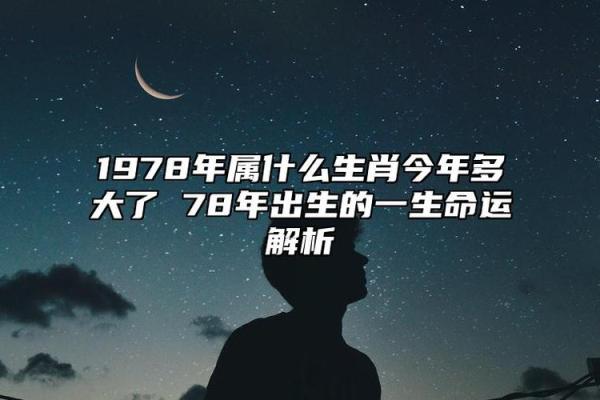 命理解析：己未日柱的命运与解析