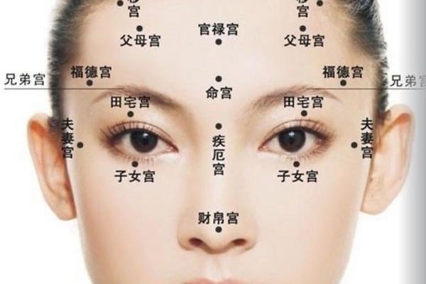 女性眉毛稀疏的命运解析：从眉毛看你的内心世界与人生发展