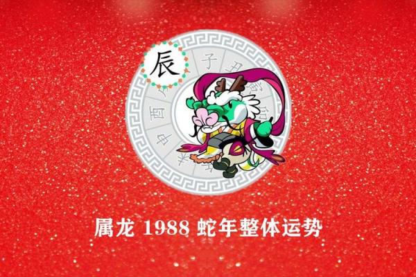 2020龙年出生命犯什么？揭秘运势与幸运指引！