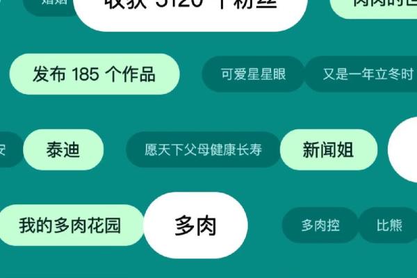 2022年属猪人的命运解析与生活指南，开启美好新篇章！