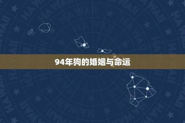 94狗年出生的女人命运解析与人生启示