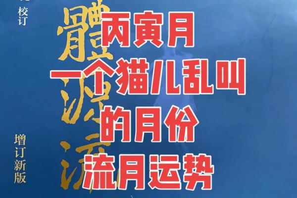 乙卯月丙寅日的命理解析：探寻人生的智慧与方向