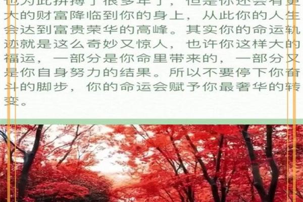 探寻命运的轨迹：为何早年命不好？深度剖析人生的坎坷与磨难