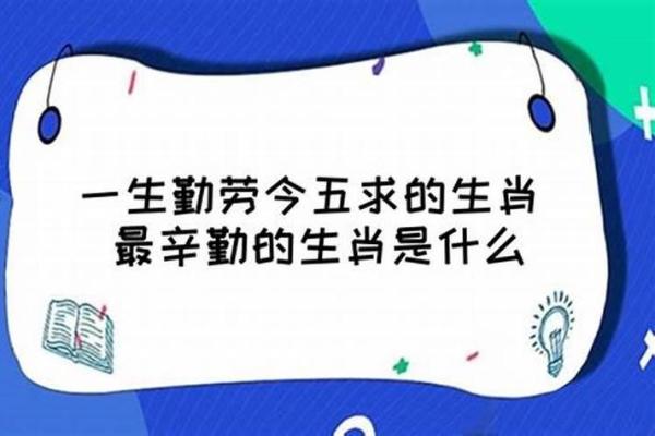 2002年属马的命运解析：骑风而行，逐梦之路