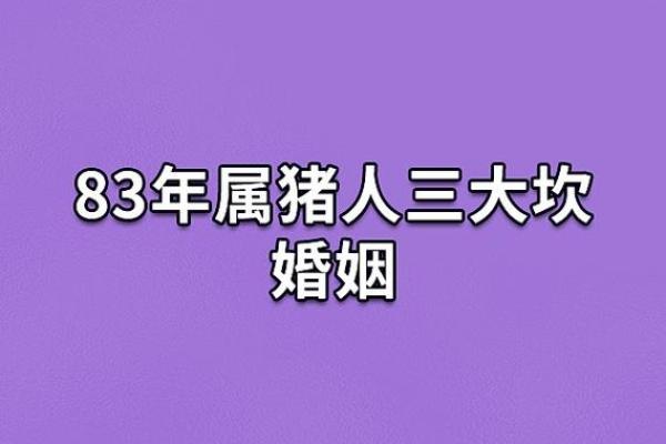 深入探讨1995年属猪腊月出生者命运的秘密与指南