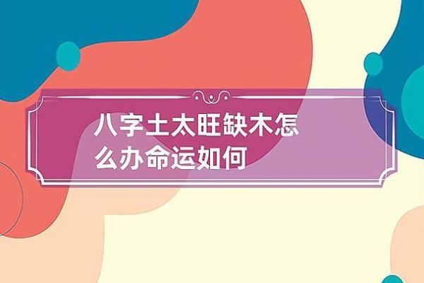 木命的奥秘：了解木命五行特性与最佳发展方向