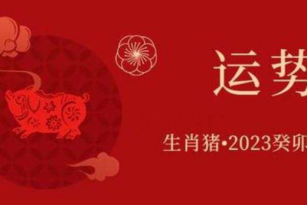 2023年51岁属猪人的命运分析与生活建议