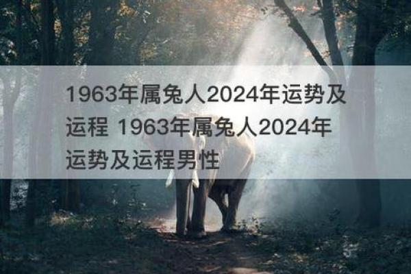 00年兔子命理分析：解密属兔人的性格与运势