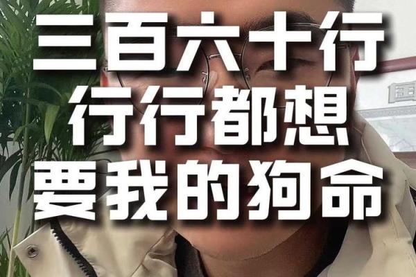 探讨2030年狗年命运：如何把握旺盛的机遇与挑战