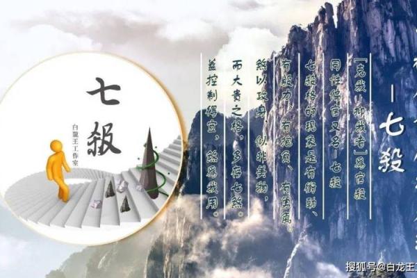 偏财太多代表什么命：揭开命理中的财富之谜