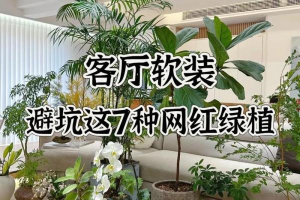 土命客厅王：适合土命者的室内植物推荐与养护指南