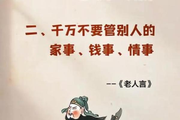 小鸡命运启示录：从小生命中汲取生活智慧