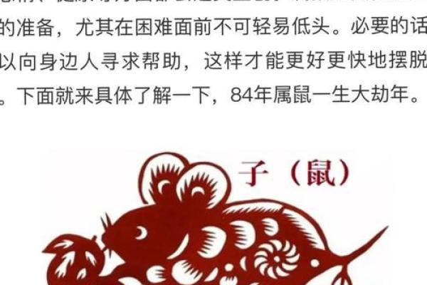 狗年土命：看缺什么，如何提升运势！