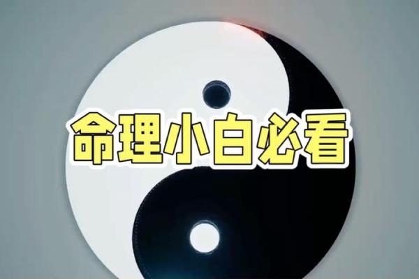 辛酉乙未甲辰丁卯命理解析：揭开命运背后的秘密