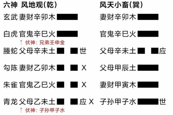 戊戌年2020：命理解析与人生启示