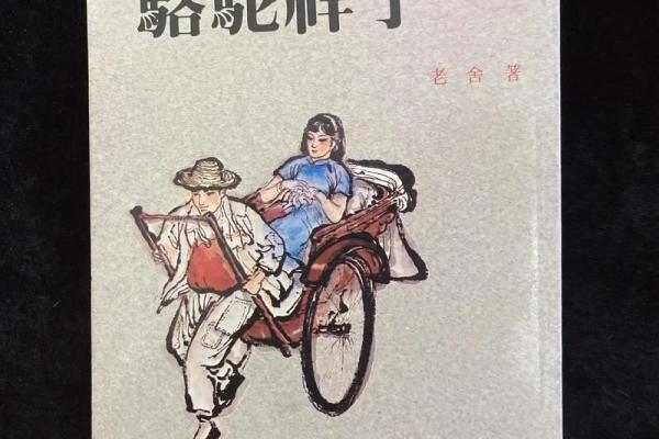 1996年冬月出生的人命运解析：聪慧与挑战并存的岁月之旅